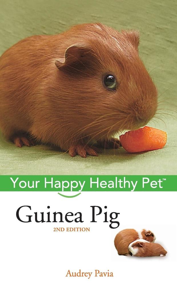 Produktbild: Guinea Pig | Audrey Pavia