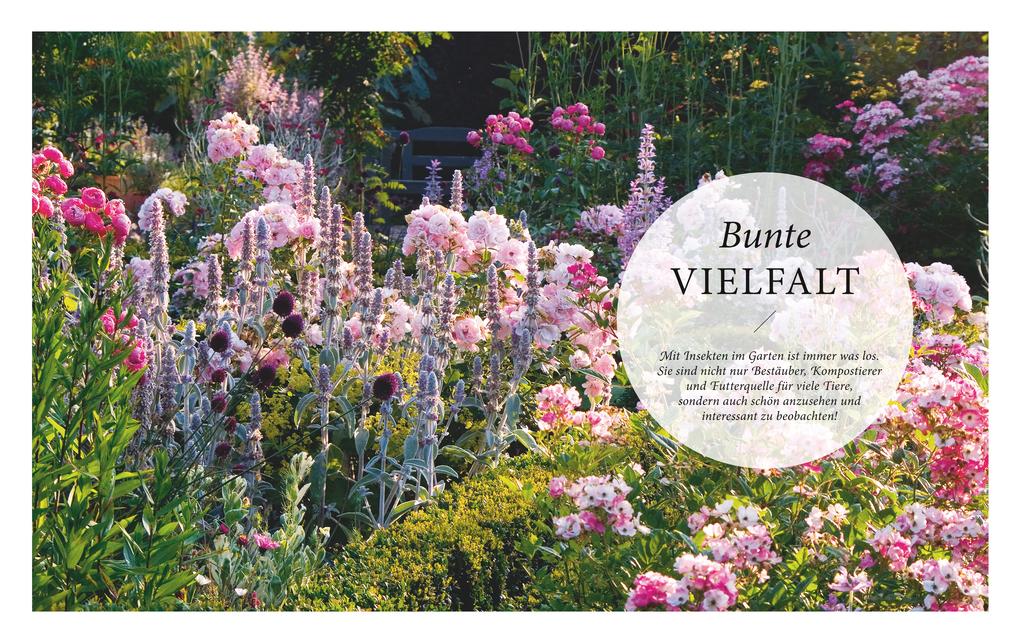 Weitere Ansicht: Mein summendes Paradies | Cynthia Nagel