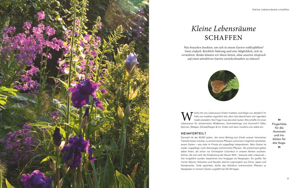 Weitere Ansicht: Mein summendes Paradies | Cynthia Nagel