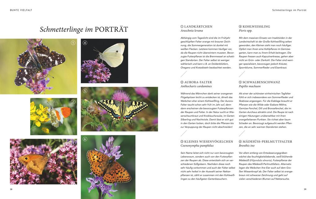 Weitere Ansicht: Mein summendes Paradies | Cynthia Nagel