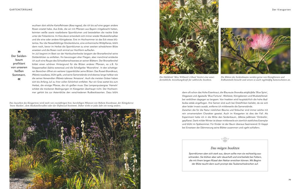 Weitere Ansicht: Mein summendes Paradies | Cynthia Nagel