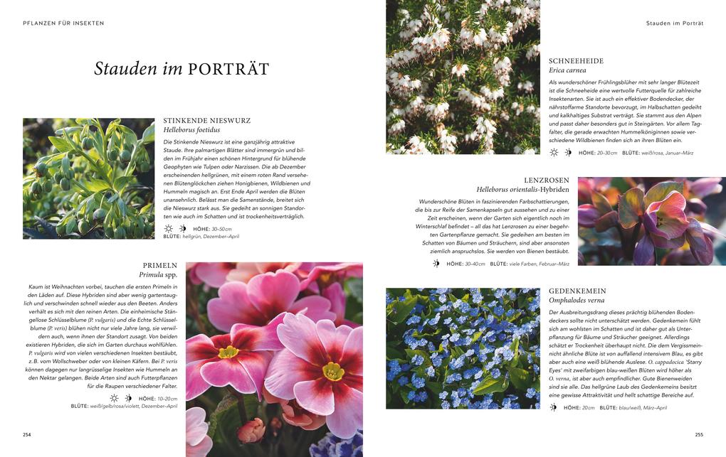 Weitere Ansicht: Mein summendes Paradies | Cynthia Nagel