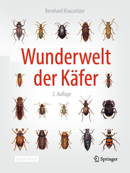 Produktbild: Wunderwelt der Käfer | Bernhard Klausnitzer