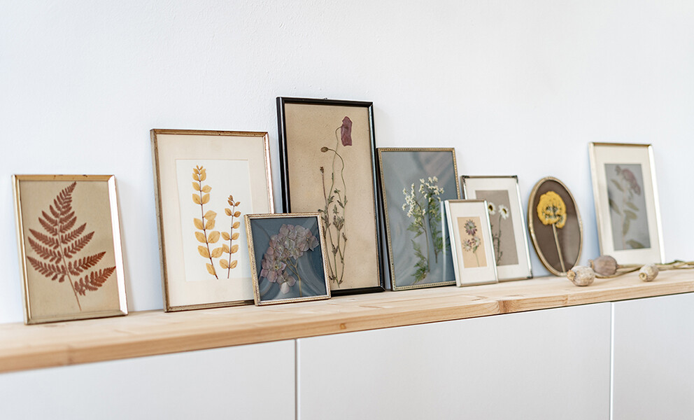 Weitere Ansicht: Veilchen, Farn & Ringelblumen | Kathrin Bender