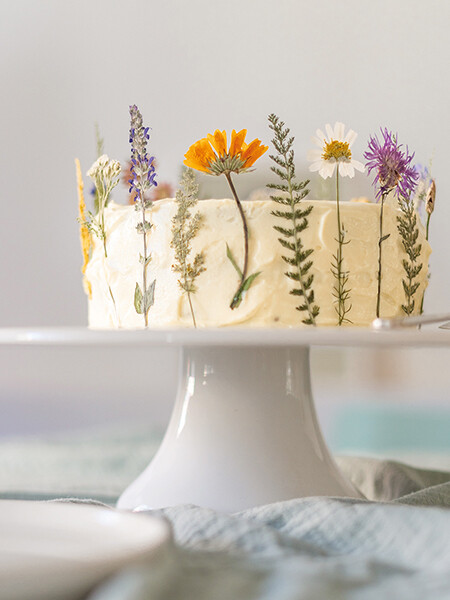 Weitere Ansicht: Veilchen, Farn & Ringelblumen | Kathrin Bender