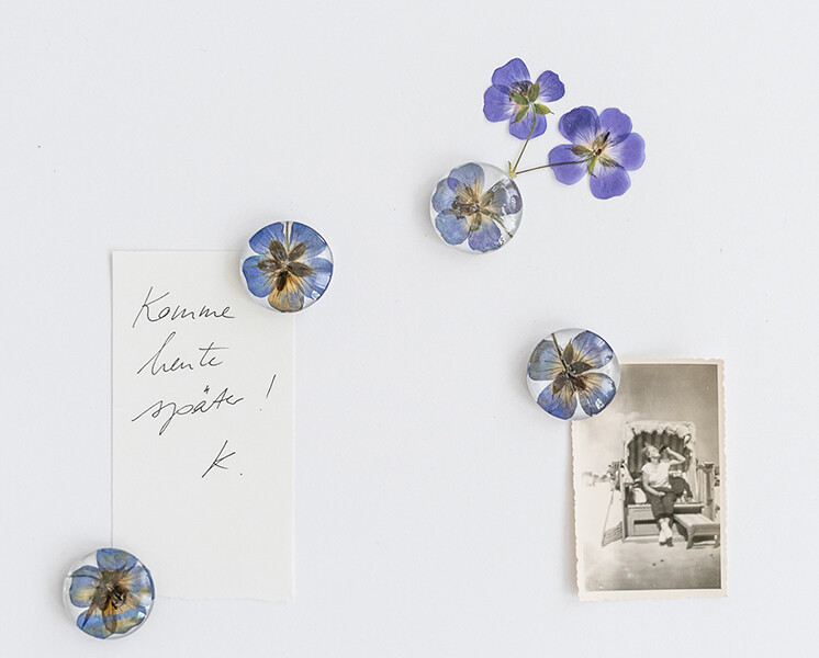 Weitere Ansicht: Veilchen, Farn & Ringelblumen | Kathrin Bender