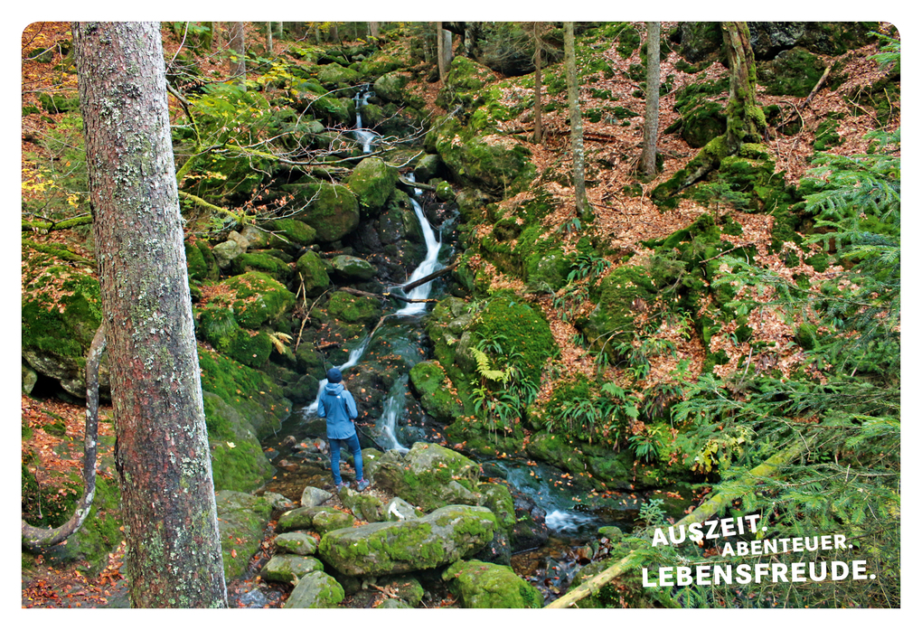 Weitere Ansicht: 52 kleine & große Eskapaden im Bayerischen Wald | Melanie Wolfmeier