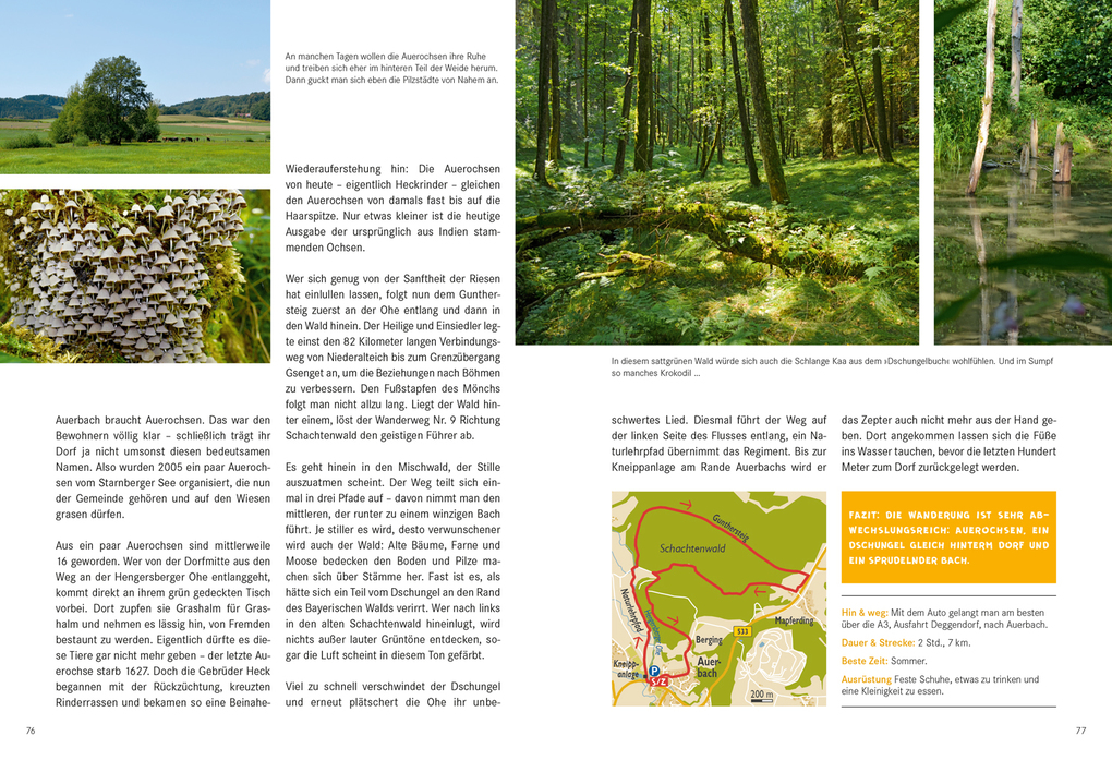 Weitere Ansicht: 52 kleine & große Eskapaden im Bayerischen Wald | Melanie Wolfmeier