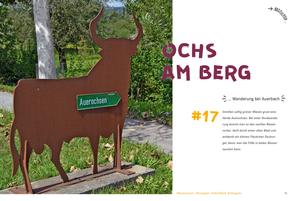 Weitere Ansicht: 52 kleine & große Eskapaden im Bayerischen Wald | Melanie Wolfmeier