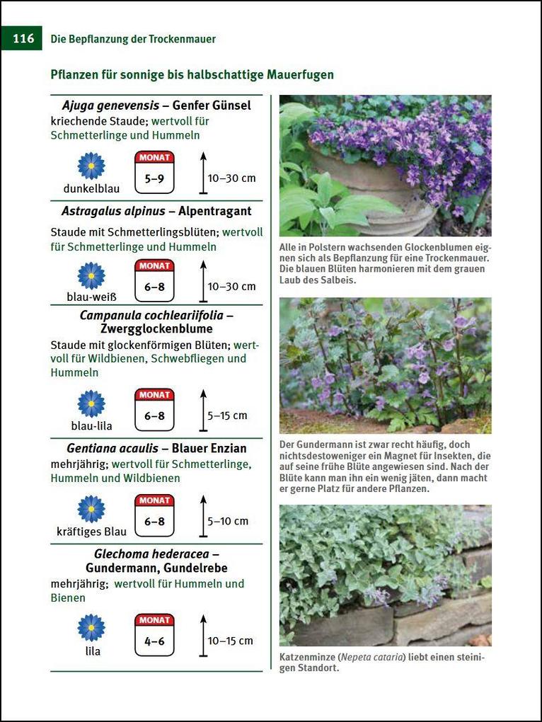 Weitere Ansicht: Trockenmauern | Sofie Meys