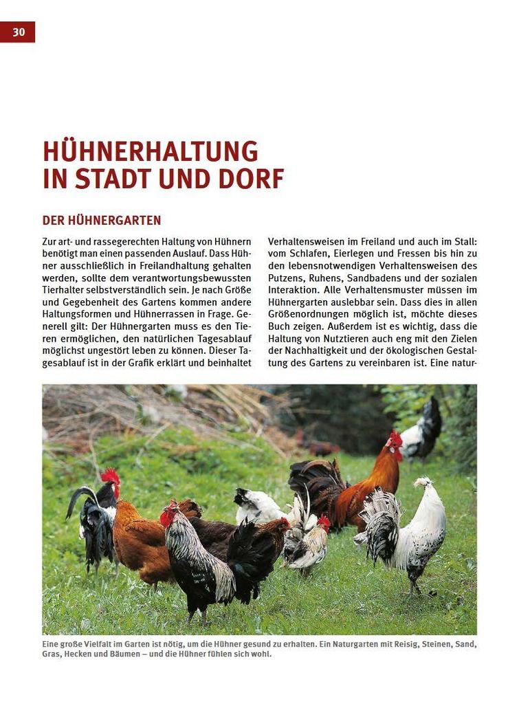 Weitere Ansicht: Das Hühnerbuch | Wolf-Dietmar Unterweger, Philipp Unterweger