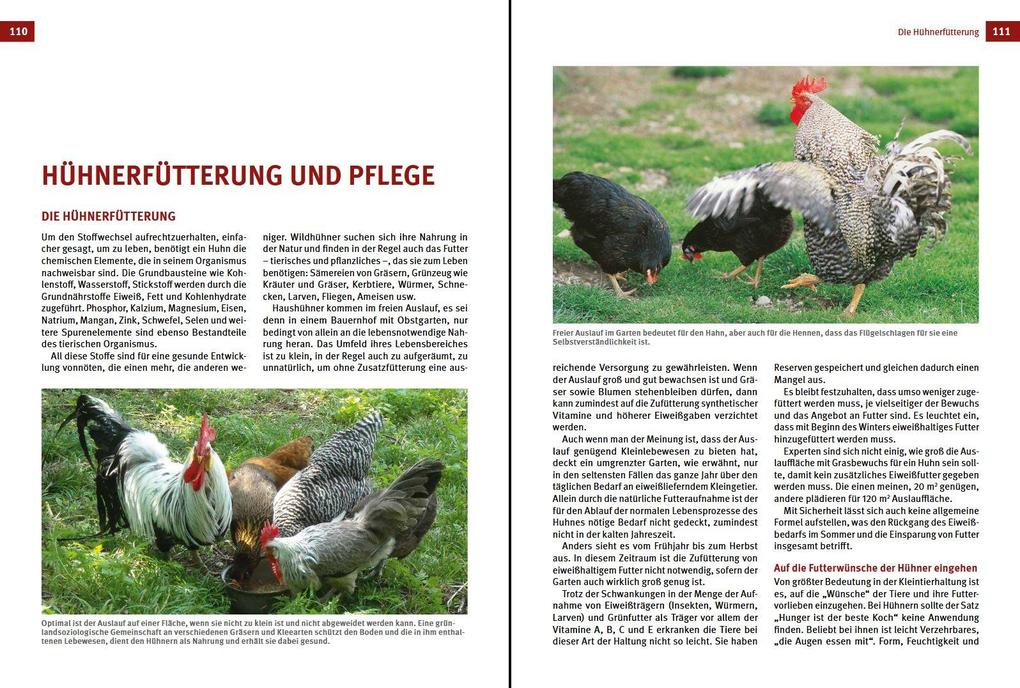 Weitere Ansicht: Das Hühnerbuch | Wolf-Dietmar Unterweger, Philipp Unterweger