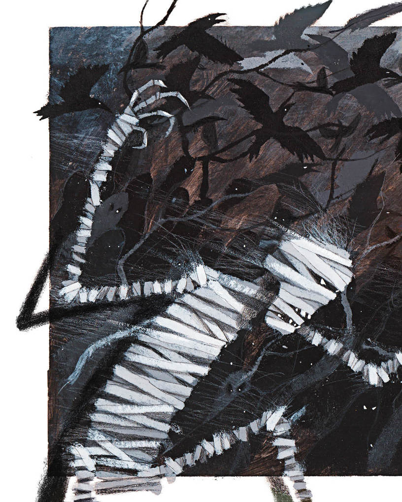 Weitere Ansicht: Die wahre Geschichte | Anton Soja