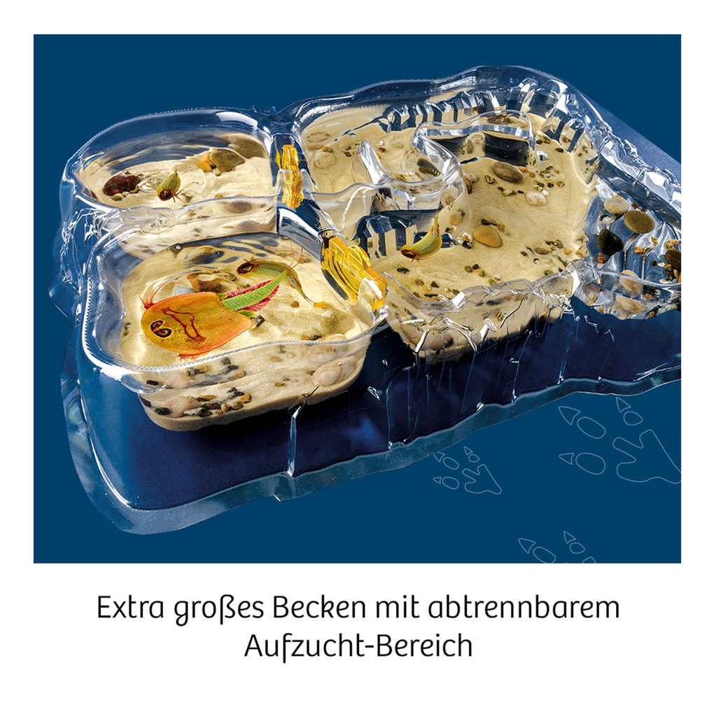 Weitere Ansicht: Triops-Welt