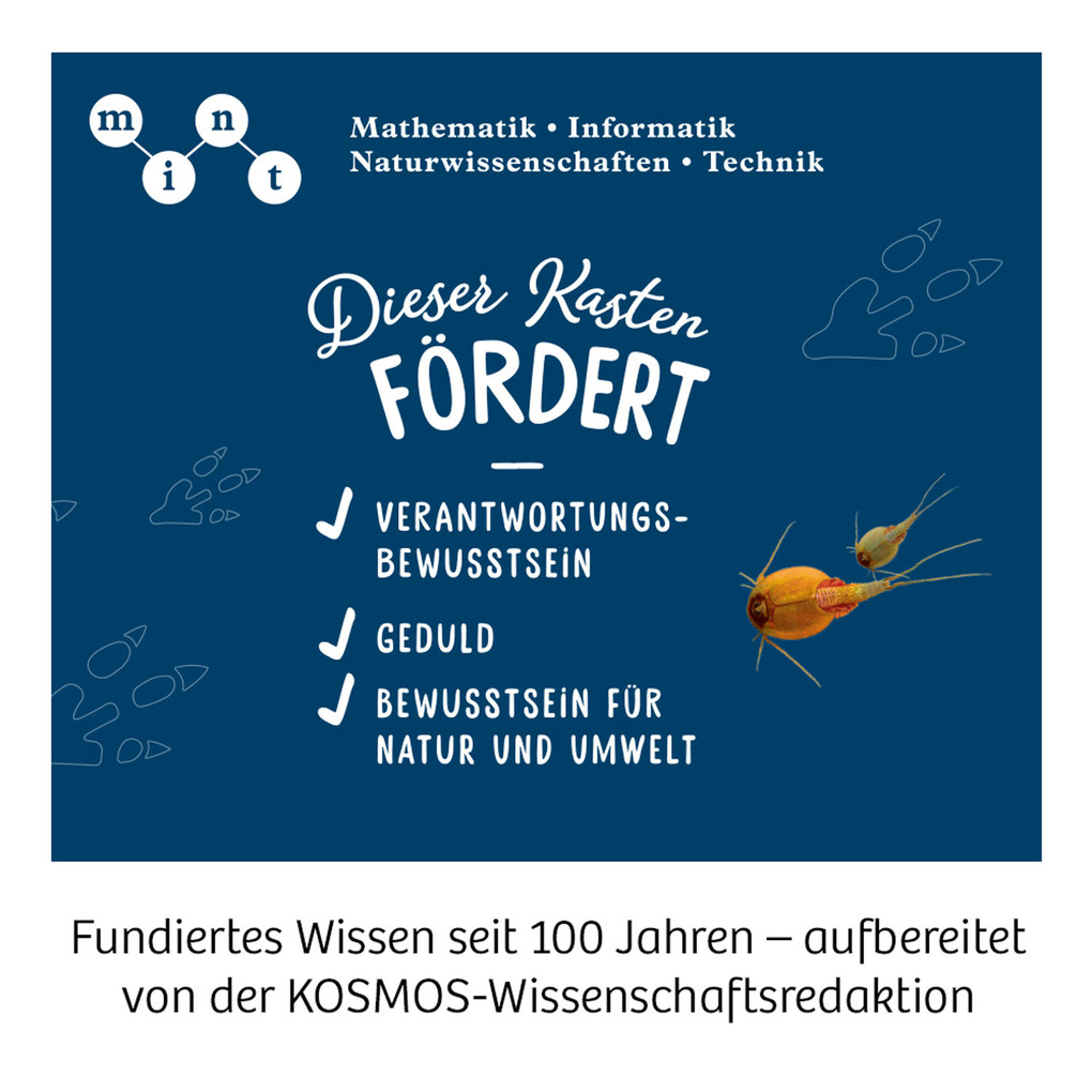 Weitere Ansicht: Triops-Welt