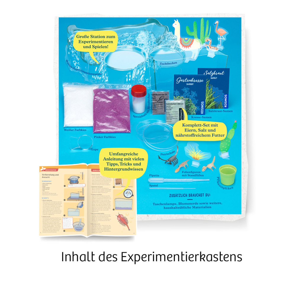 Weitere Ansicht: Salzkrebse