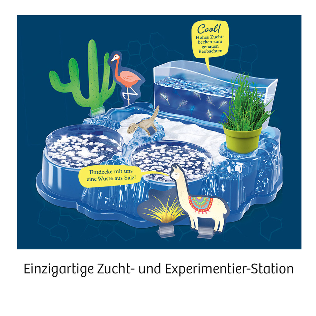 Weitere Ansicht: Salzkrebse