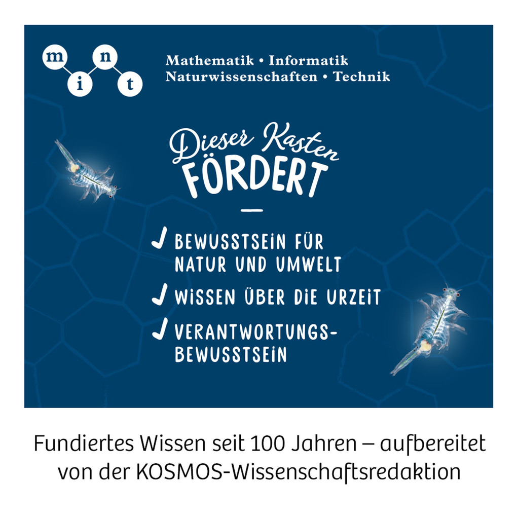 Weitere Ansicht: Salzkrebse
