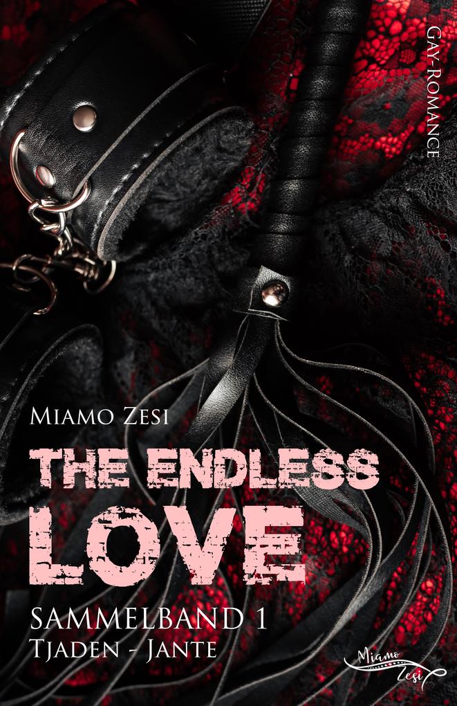 Produktbild: The endless love: Sammelband 1 | Miamo Zesi