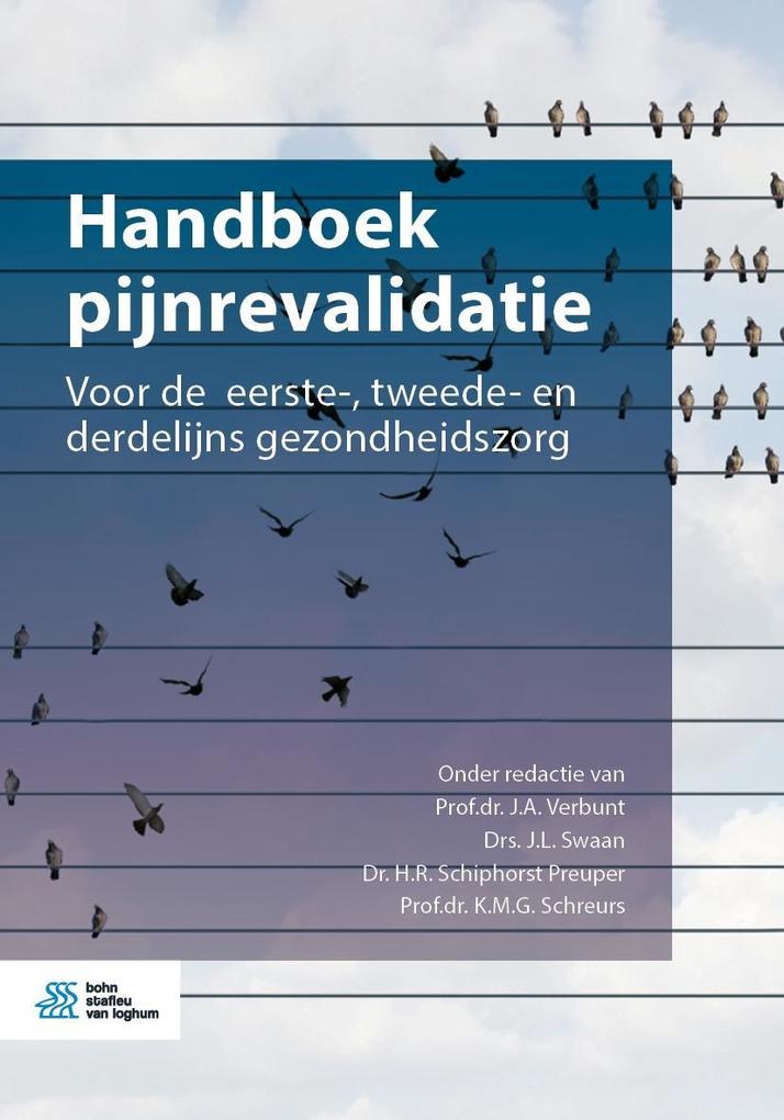 Produktbild: Handboek pijnrevalidatie