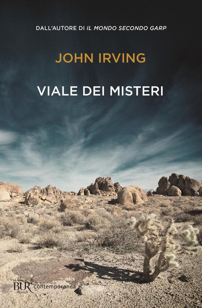 Produktbild: Viale dei misteri | John Irving