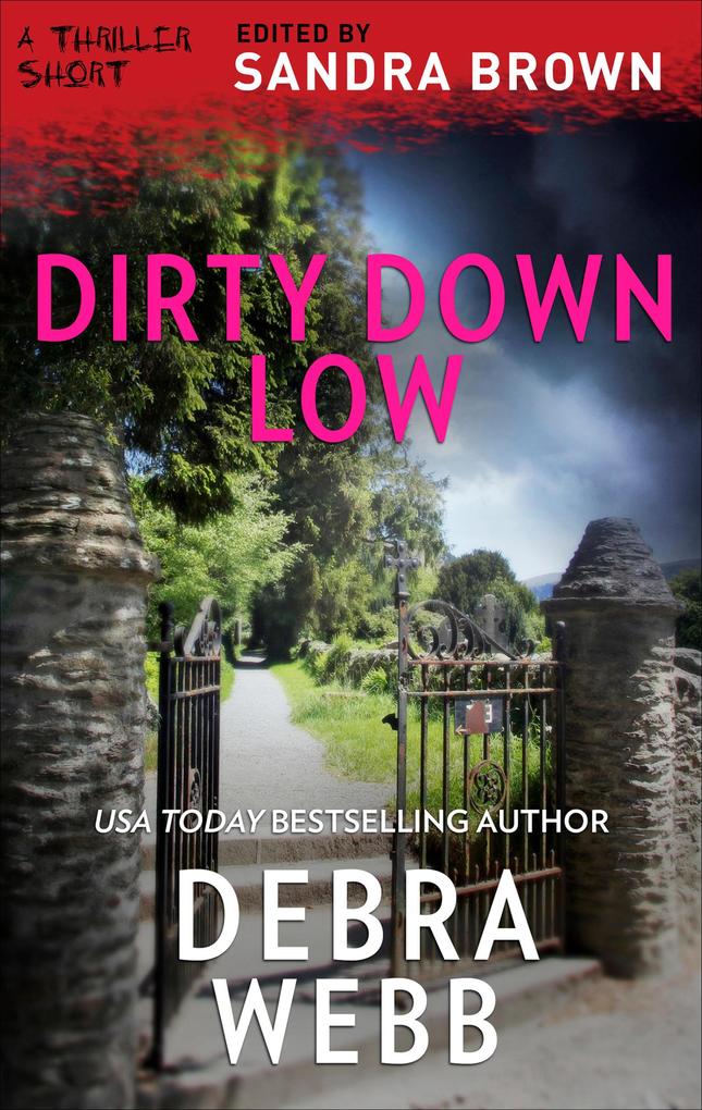 Produktbild: Dirty Down Low | Debra Webb