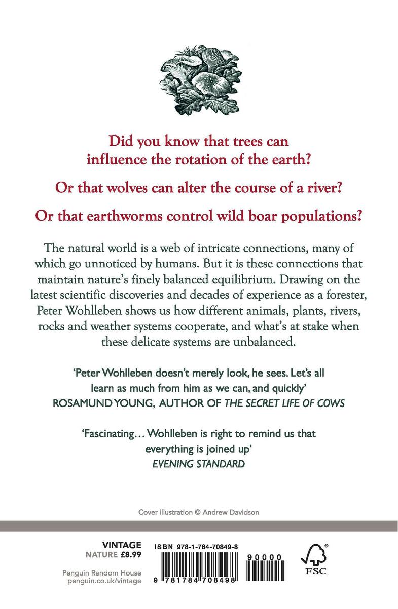 Weitere Ansicht: The Secret Network of Nature | Peter Wohlleben