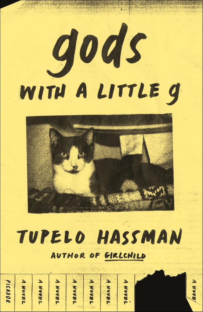 Produktbild: gods with a little g | Tupelo Hassman