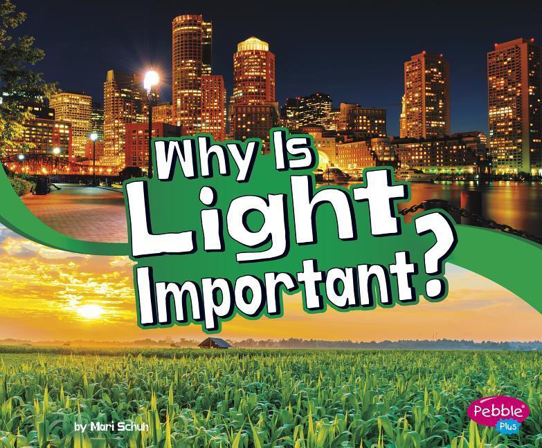 Why Is Light Important? als Buch (gebunden)
