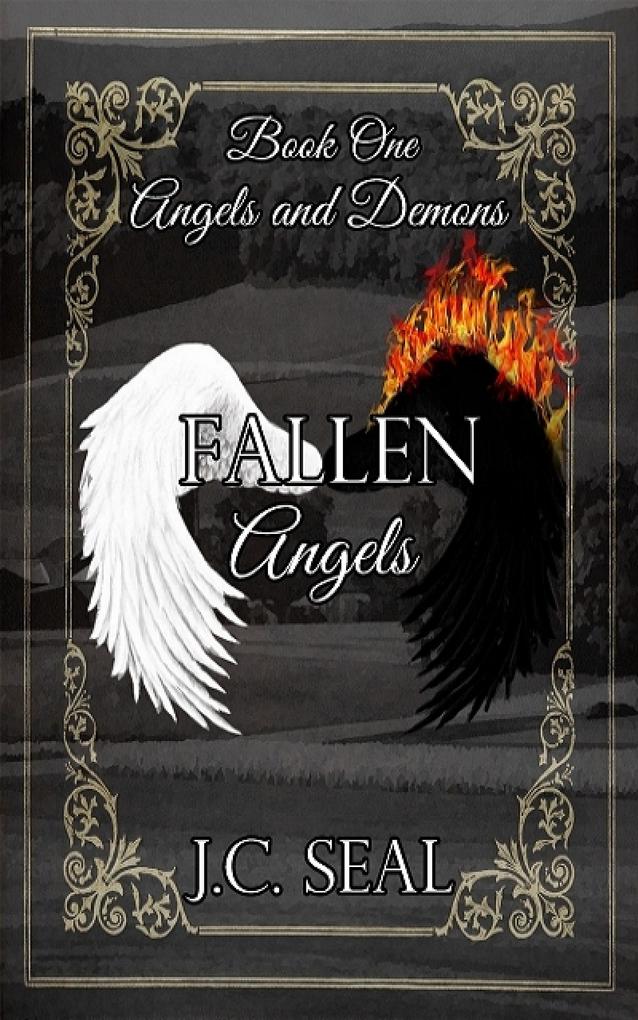 Produktbild: Fallen Angels | J. C. Seal