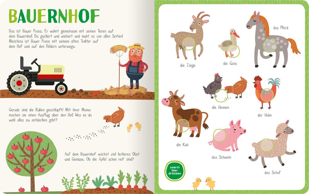 Weitere Ansicht: Mein kunterbuntes Soundbuch - Tiere