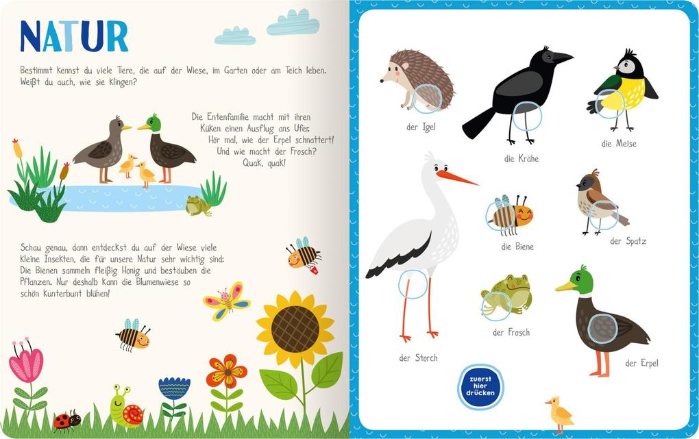 Weitere Ansicht: Mein kunterbuntes Soundbuch - Tiere