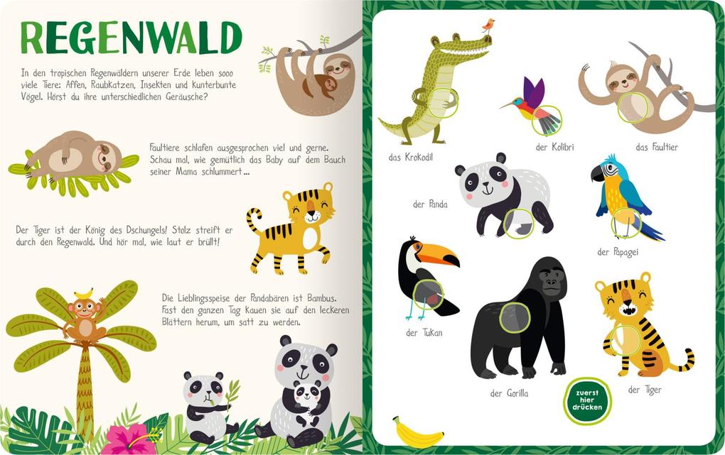 Weitere Ansicht: Mein kunterbuntes Soundbuch - Tiere