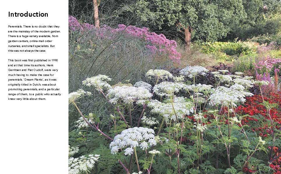 Weitere Ansicht: Planting the Natural Garden | Piet Oudolf, Henk Gerritsen