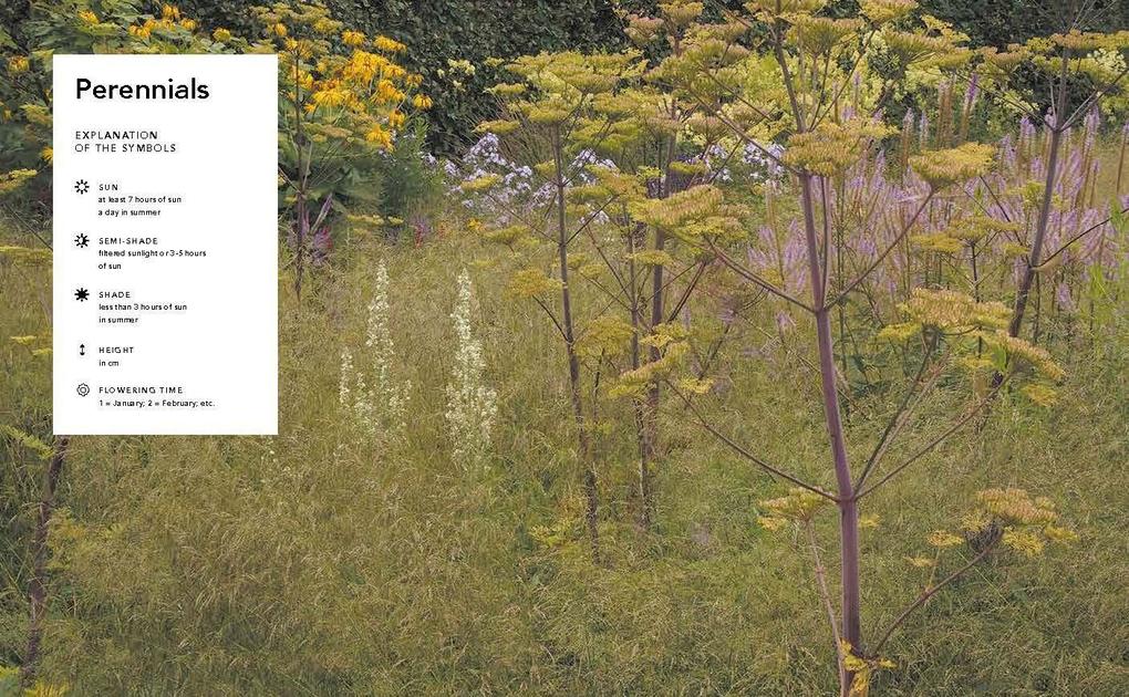Weitere Ansicht: Planting the Natural Garden | Piet Oudolf, Henk Gerritsen