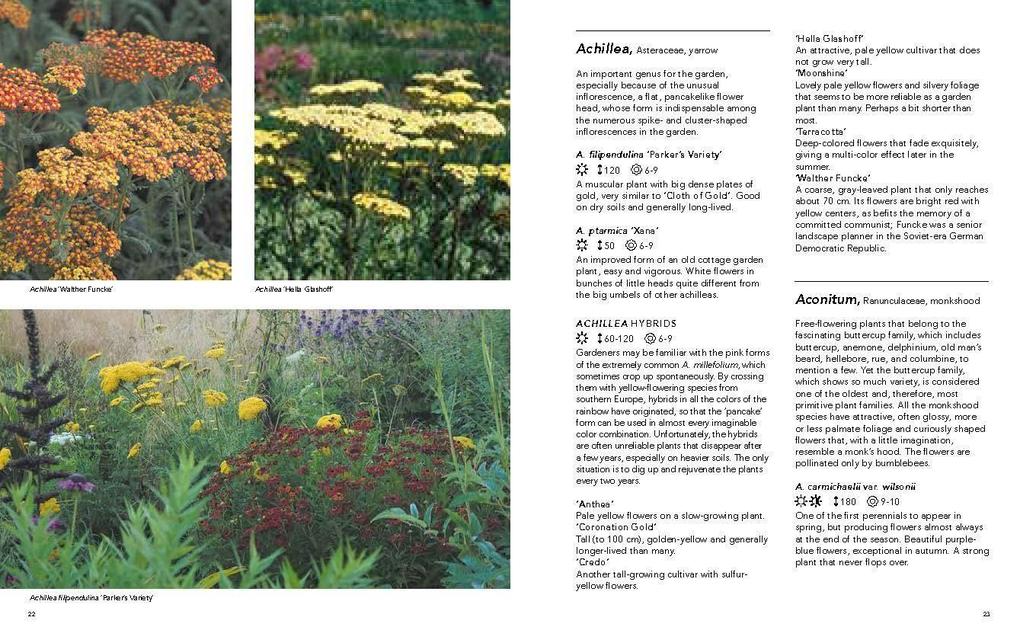 Weitere Ansicht: Planting the Natural Garden | Piet Oudolf, Henk Gerritsen