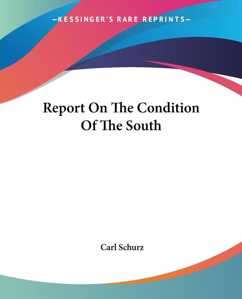 Report On The Condition Of The South als Taschenbuch