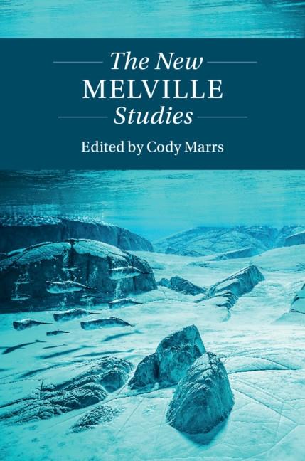 New Melville Studies als eBook epub
