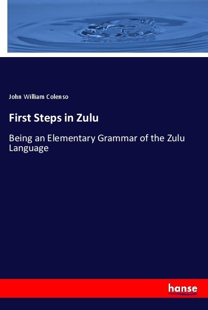 First Steps in Zulu als Buch (kartoniert)