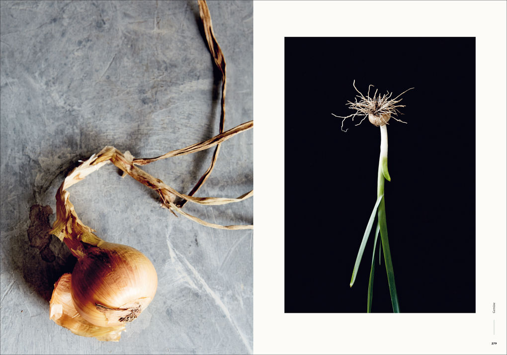 Weitere Ansicht: Gemüse | Caroline Griffiths, Vicki Valsamis