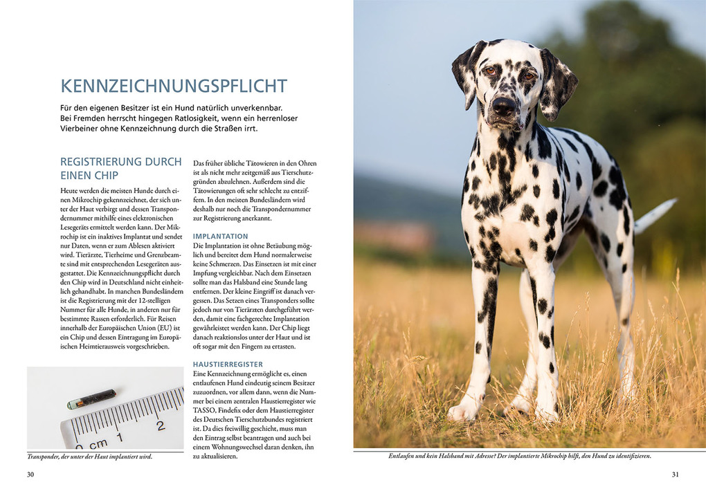 Weitere Ansicht: Hundeführerschein und Sachkundenachweis | Esther Schalke, Gabriele Metz, Sandra Bruns