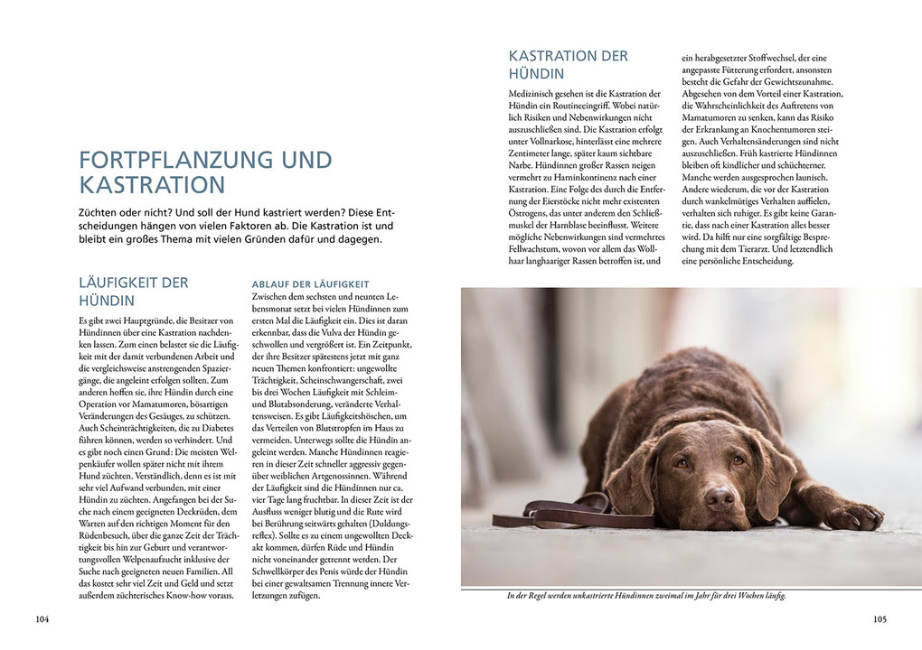 Weitere Ansicht: Hundeführerschein und Sachkundenachweis | Esther Schalke, Gabriele Metz, Sandra Bruns