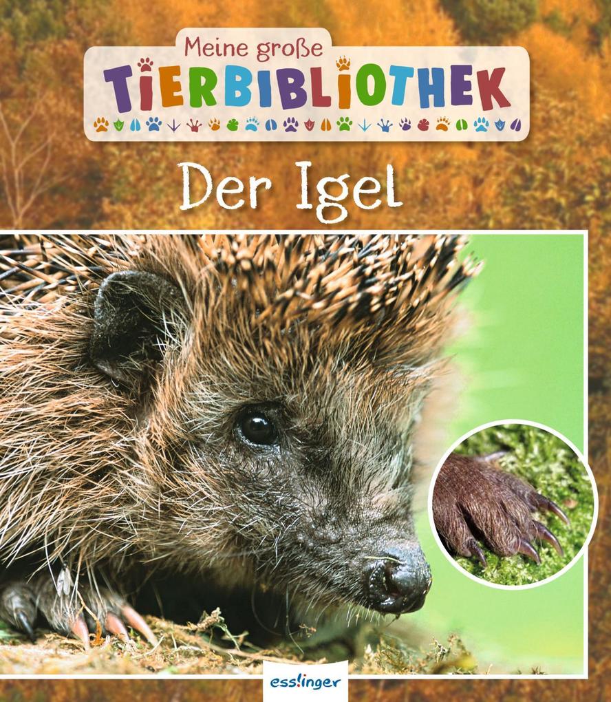 Produktbild: Meine große Tierbibliothek: Der Igel | Valérie Tracqui