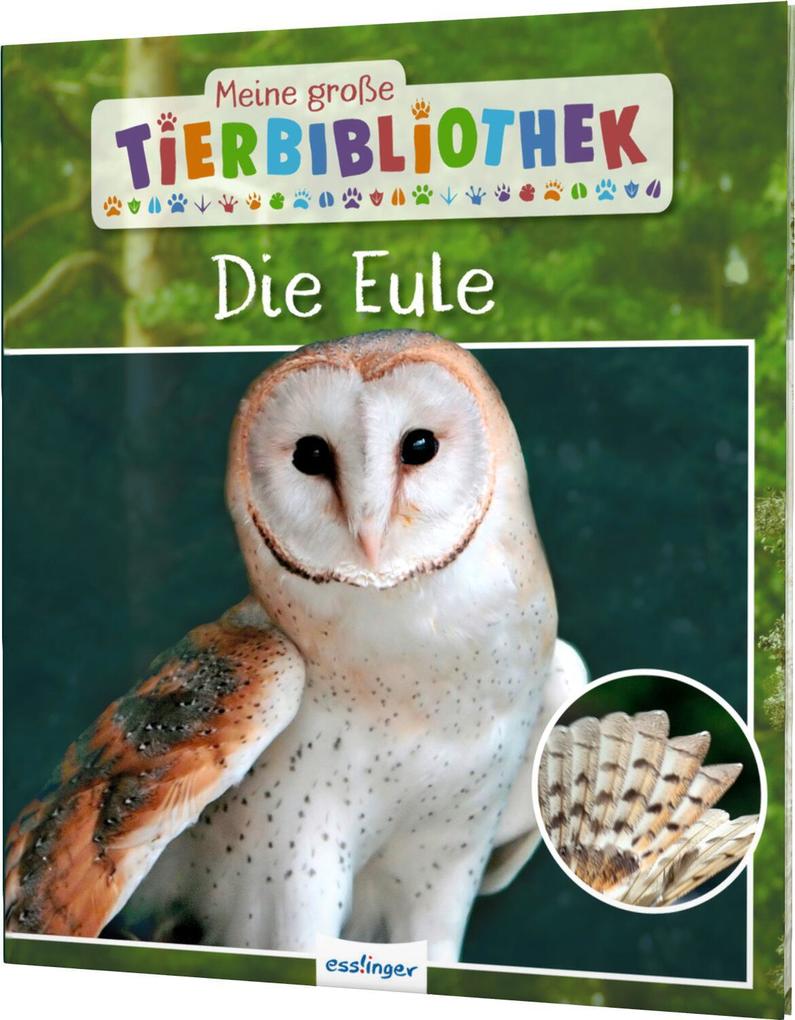 Produktbild: Meine große Tierbibliothek: Die Eule | Jens Poschadel
