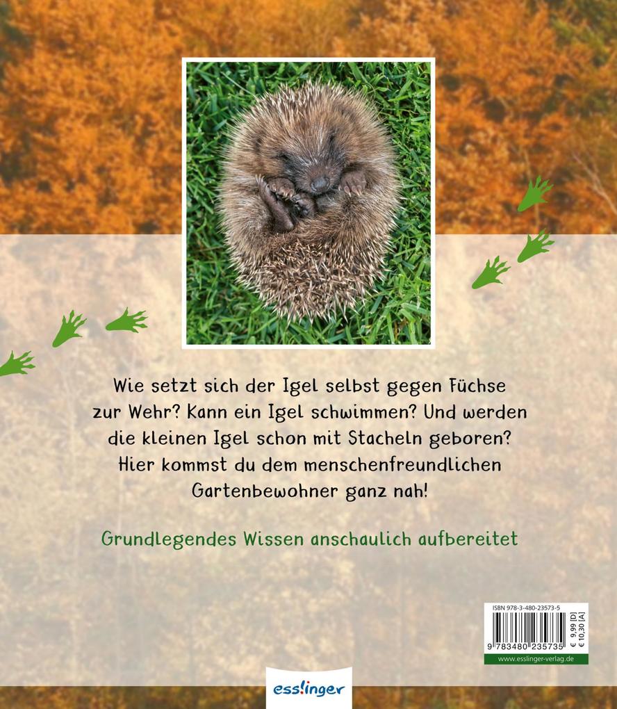Weitere Ansicht: Meine große Tierbibliothek: Der Igel | Valérie Tracqui