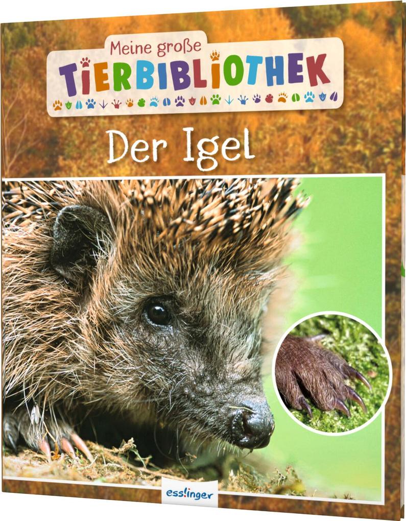 Weitere Ansicht: Meine große Tierbibliothek: Der Igel | Valérie Tracqui