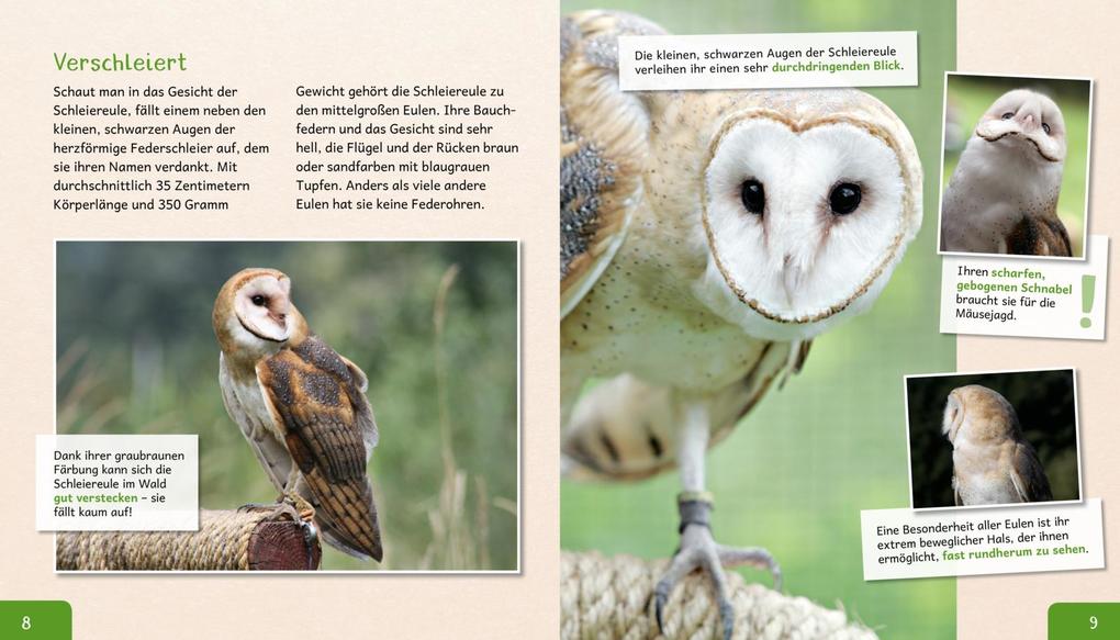 Weitere Ansicht: Meine große Tierbibliothek: Die Eule | Jens Poschadel