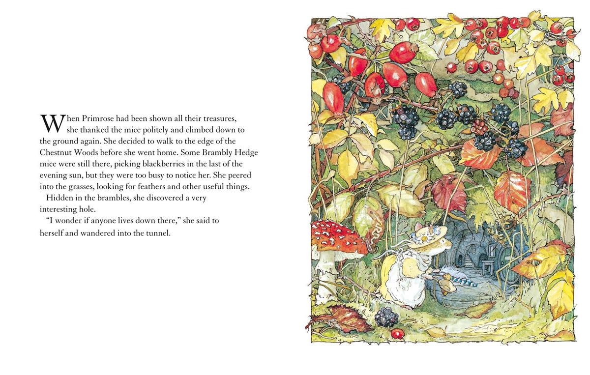 Weitere Ansicht: Autumn Story | Jill Barklem