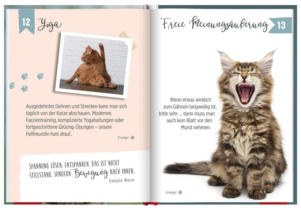 Weitere Ansicht: 100 Dinge, die man von einer Katze lernen kann