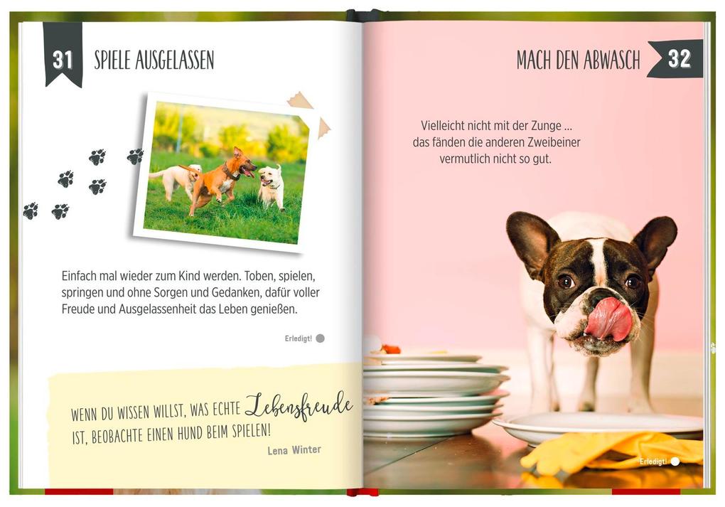 Weitere Ansicht: 100 Dinge, die man von einem Hund lernen kann